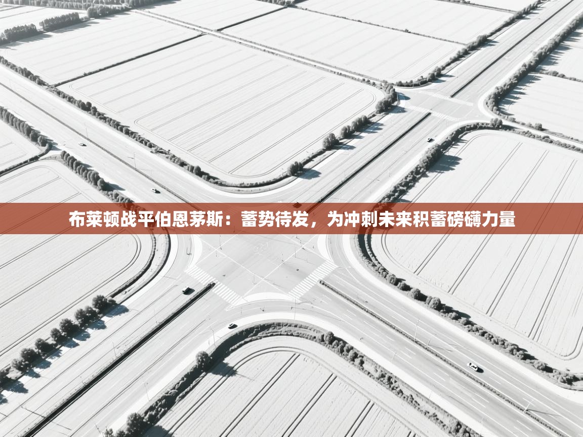 布莱顿战平伯恩茅斯：蓄势待发，为冲刺未来积蓄磅礴力量