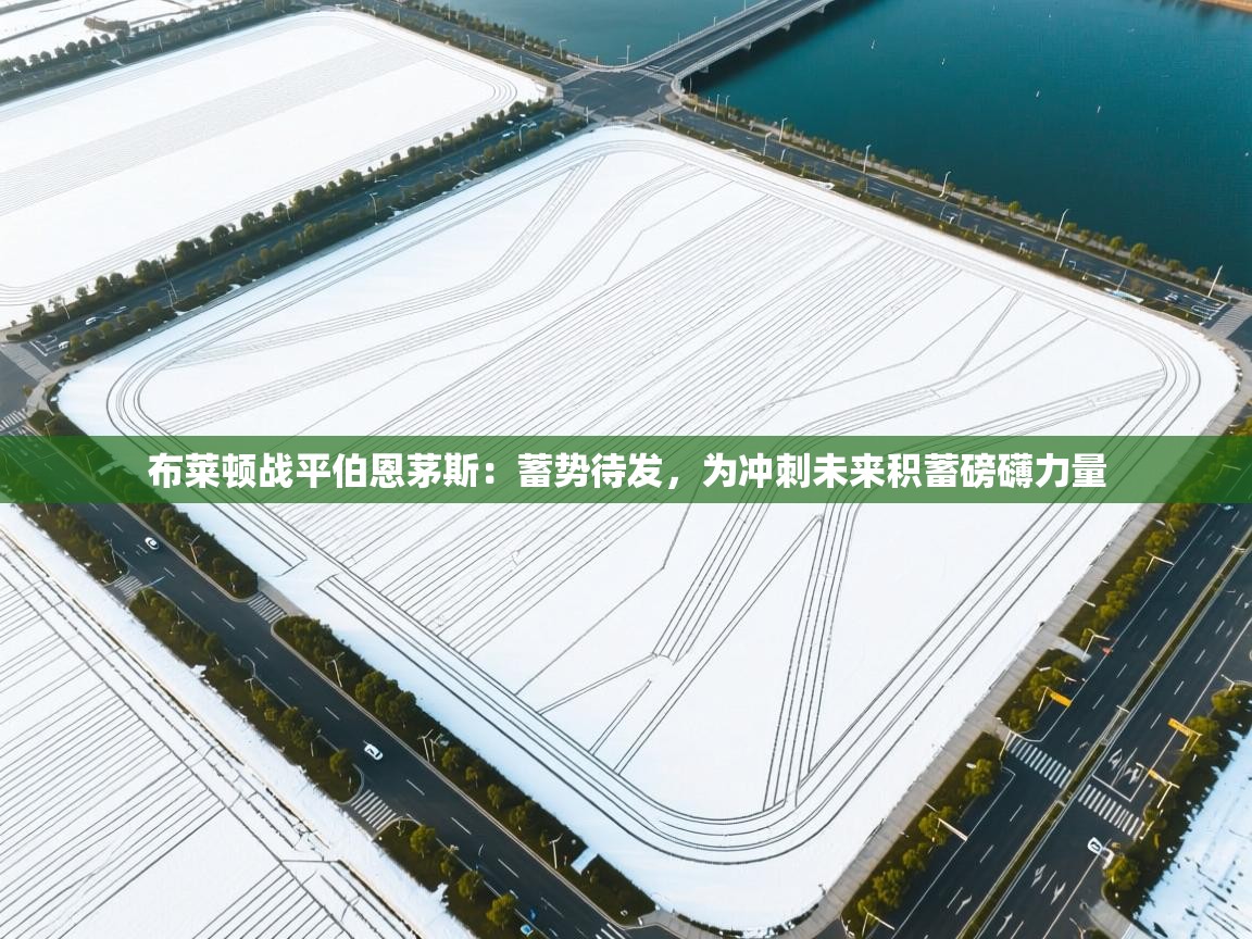 布莱顿战平伯恩茅斯：蓄势待发，为冲刺未来积蓄磅礴力量  第2张