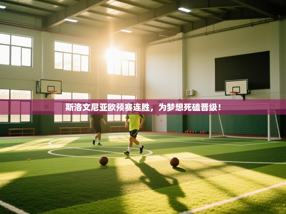 斯洛文尼亚欧预赛连胜，为梦想死磕晋级！  第2张