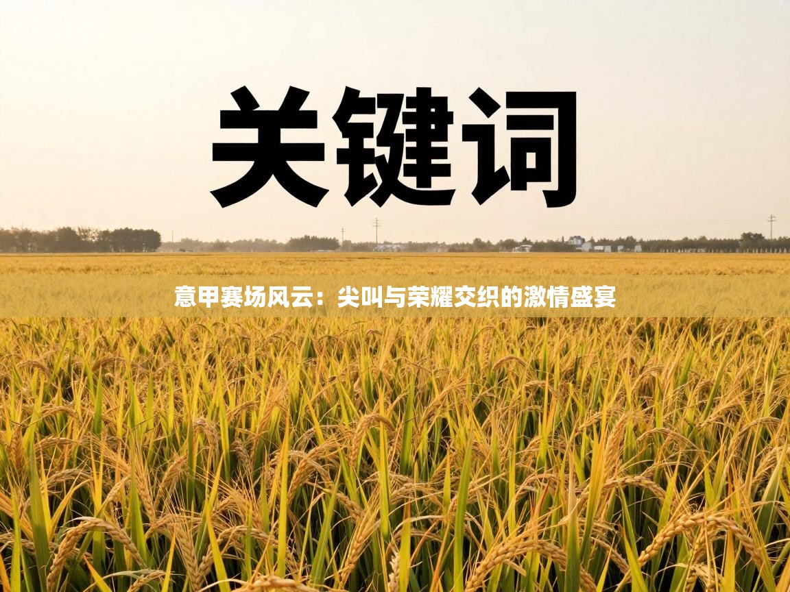 意甲赛场风云:尖叫与荣耀交织的激情盛宴 第2张